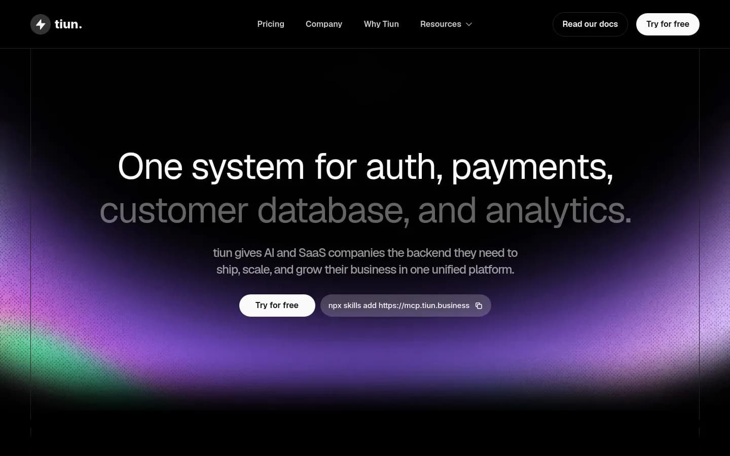 Landing page screenshot of tiun.io